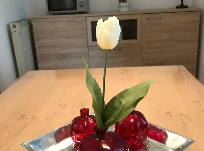 Cologne, Airport, Apartment *